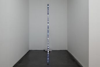 Jinghu Li contemporary artist