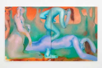 Elizabeth Glaessner contemporary artist
