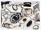 Cage Syria map variations by Fiona Hall contemporary artwork works on paper