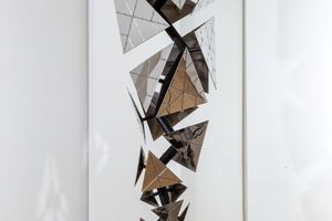 Conrad Shawcross