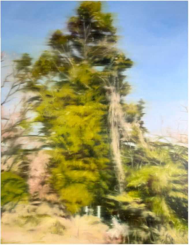 KOJI YAMAGUCHI