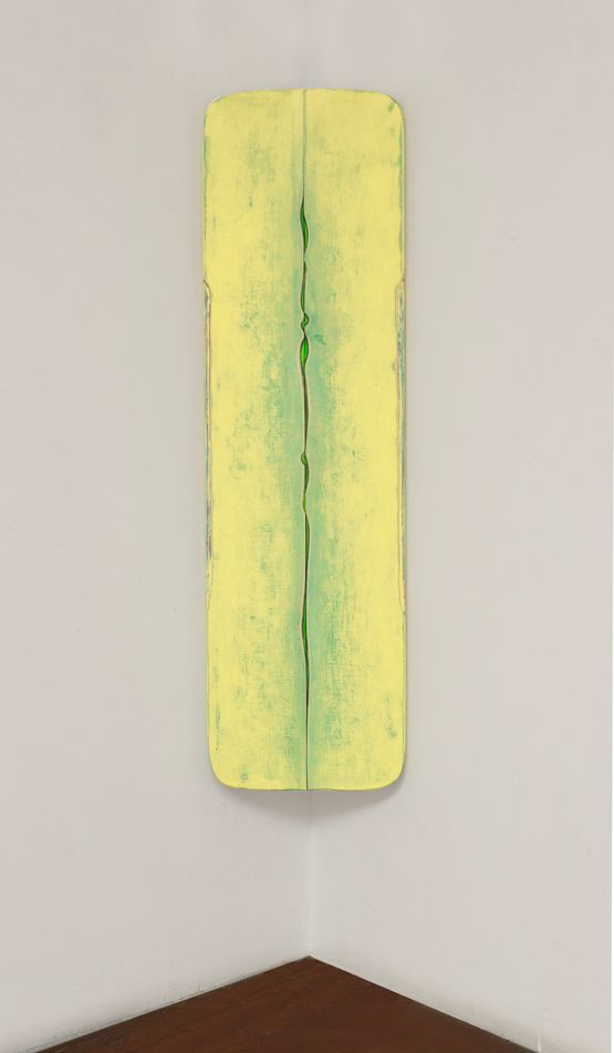 Na Hoa by Robert Yasuda contemporary artwork Painting