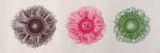 3-coloured Halo Dots by Nan Qi contemporary artwork painting works on paper