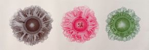 3-coloured Halo Dots by Nan Qi contemporary artwork Painting