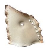 Earthskin 4 by Nevine Bouez contemporary artwork sculpture