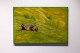 Horse lying on a hill field by Maryam Yusifaliyeva contemporary artwork painting
