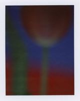 Emotion Training 1 by Rala Choi contemporary artwork photography