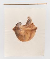from the series chao de molho e imbigos by Josi contemporary artwork mixed media textile