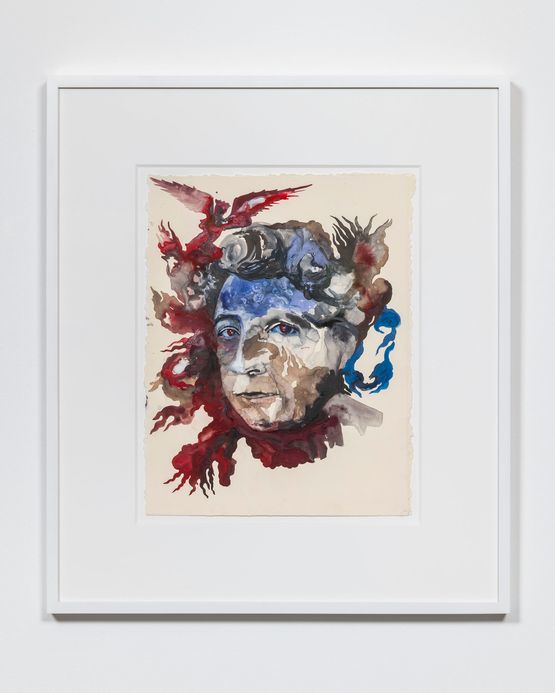Portrait of Adrienne Rich Diving into the Wreck by Shahzia Sikander contemporary artwork Works on Paper