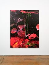 Moth Plant Invasive by Zac Langdon-Pole contemporary artwork mixed media