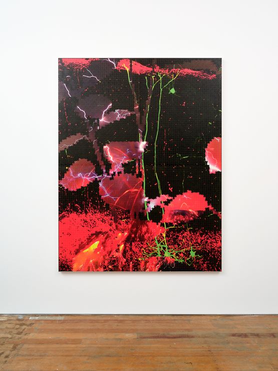 Moth Plant Invasive by Zac Langdon-Pole contemporary artwork Mixed Media