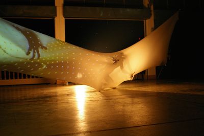 Mission Spacexart Beyond Cosmologies And Chronicle 1995 At The Museum Of Contemporary Art Tokyo