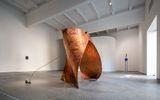 Hope is the Thing with Feathers by Lili Ren contemporary artwork sculpture