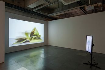 Contemporary art exhibition Tromarama Panoramix at Kiang Malingue Hong Kong