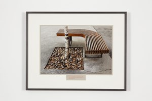 Sophie Calle