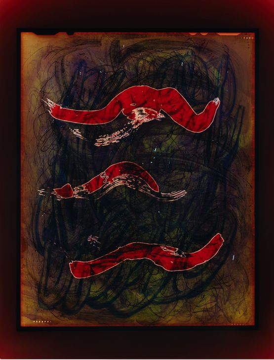End of Violet 72Y50.5M10C by Justine Varga contemporary artwork Photography