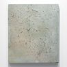 Polyethylene Irritants by Nina Canell contemporary artwork Sculpture