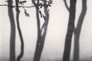 Michael Kenna