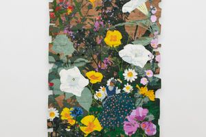 Andrea Bowers