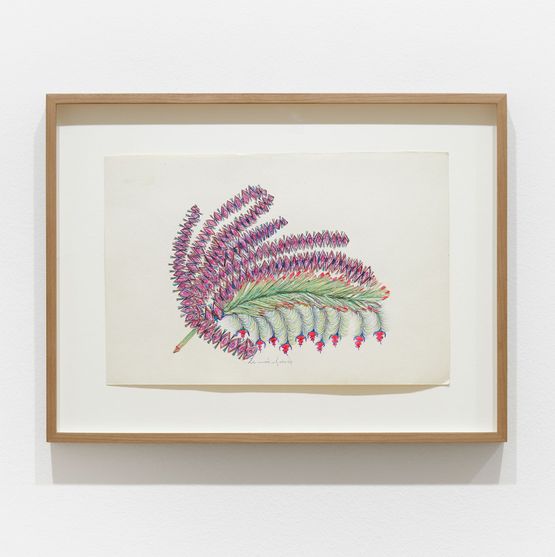 Untitled by Anna Zemankova contemporary artwork Works on Paper