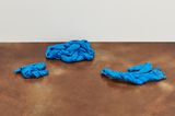 Shedding Sheaths K No. 4 by Nina Canell contemporary artwork sculpture