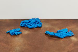 Nina Canell
