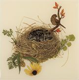 Birds Nest Nowhere by Anila Quayyum Agha contemporary artwork drawing mixed media works on paper