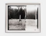 M7  Roll 59  Exp 01 by Gerard Byrne contemporary artwork photography