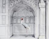 Homage to Ustad Mansur Red Fort Agra by Karen Knorr contemporary artwork photography