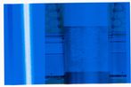 Daniel Poller contemporary artist