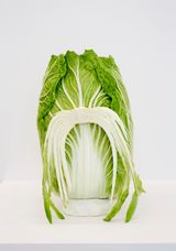 Cabeca de repolho Cabbage head by Joao Maria Gusmao  Pedro Paiva contemporary artwork sculpture