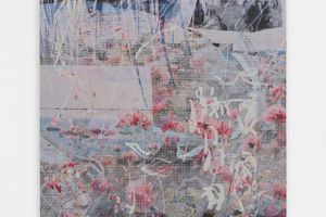 Petra Cortright