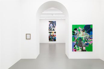 Contemporary art exhibition Michael Williams Frogs 1  9 at Galerie Eva Presenhuber Vienna Austria