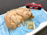 Teenage Metamorphosis by Patricia Piccinini contemporary artwork sculpture
