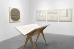 Shen Fan contemporary artist