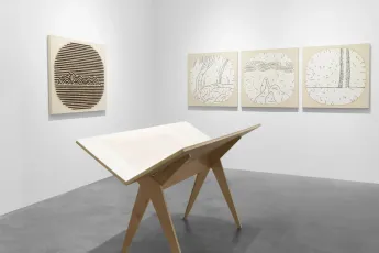 Shen Fan contemporary artist