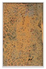 Pattern Tension Preen by Pamela Rosenkranz contemporary artwork mixed media