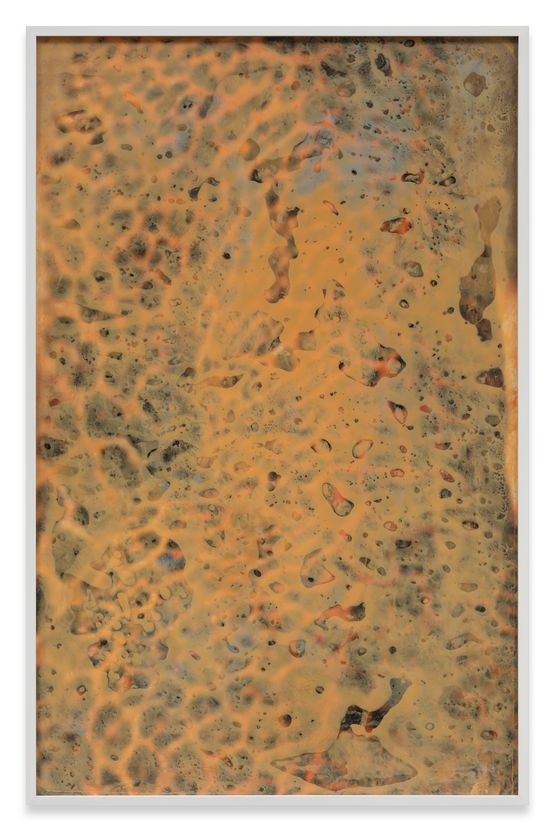 Pattern Tension Preen by Pamela Rosenkranz contemporary artwork Mixed Media