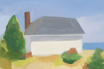 Maureen Gallace contemporary artist
