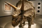 Triceratops by Sun Yuan Peng Yu contemporary artwork Sculpture