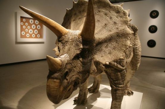 Triceratops by Sun Yuan  Peng Yu contemporary artwork Sculpture