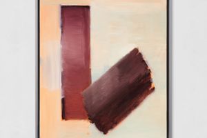 Ilse DHollander