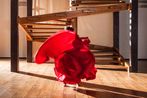 Isaac Julien contemporary artist