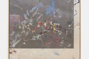 Petra Cortright