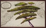 Portrait of Italy Through Its Trees Painting on Map VI by Julian Schnabel contemporary artwork Works on Paper