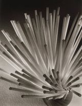 Straws by Ruth Bernhard contemporary artwork photography