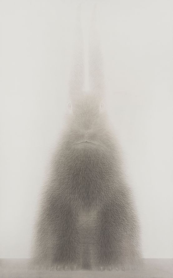 Rabbit Portrait - Dingyou 1 by Shao Fan contemporary artwork Works on Paper