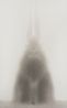 Rabbit Portrait - Dingyou 1 by Shao Fan contemporary artwork Works on Paper