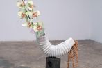 Shauna Steinbach contemporary artist