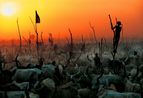 Dinka Cattle Camp South Sudan by Carol Beckwith Angela Fisher contemporary artwork Print